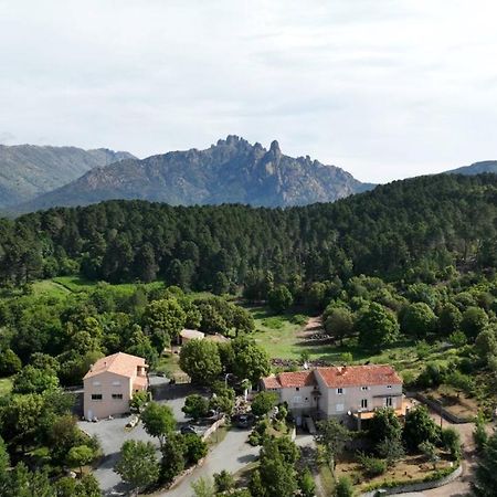 Les Hauts De Cavanello Zonza Exterior photo